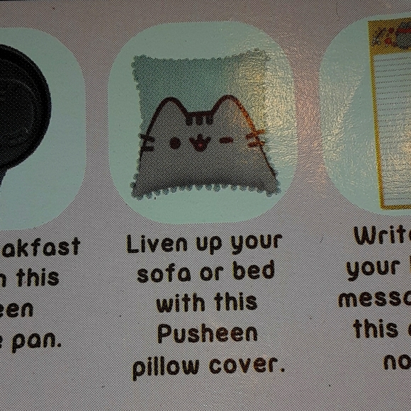 Pusheen Box - Picture 2 of 4